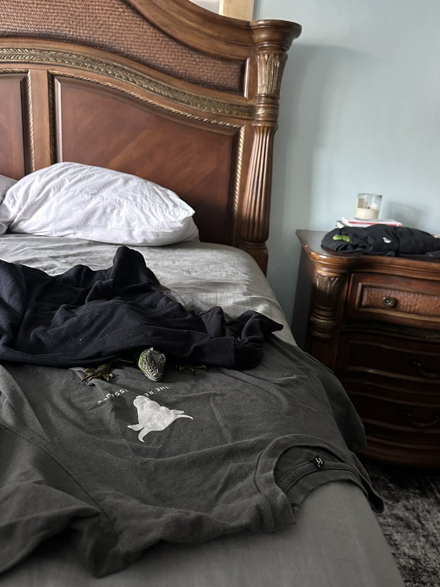 Nothing is stopping you from starting an iguana healing center in your own home