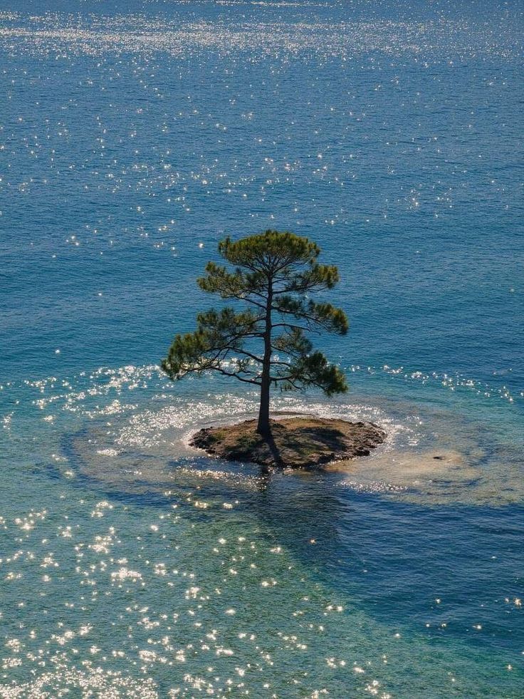 purelivn's tweet image. 