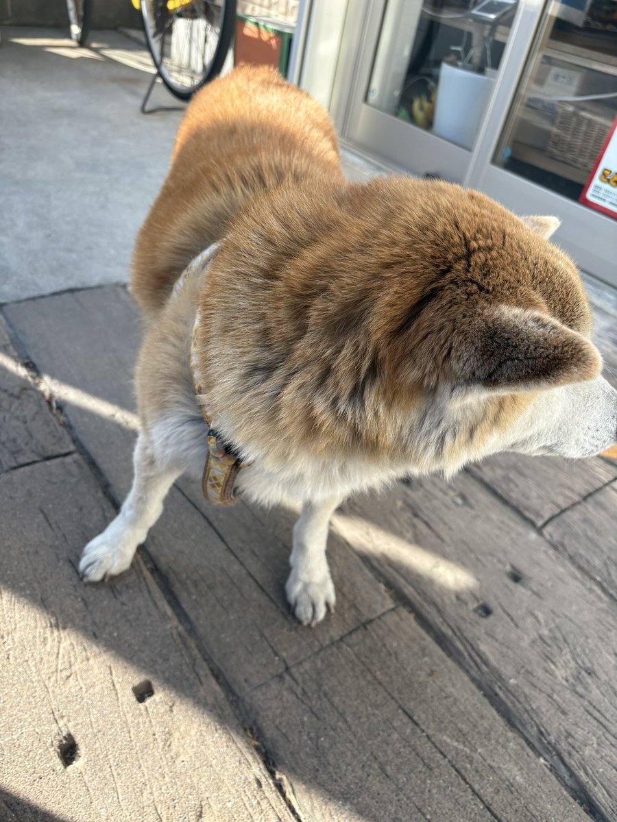 「うるせえ口だな…」とsexyに言ってから
理詰めし始める人いたら半端ないな