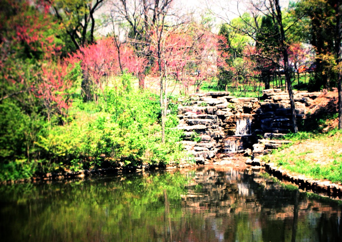 HermitsDaily's tweet photo. The beauty of Nashville, Tennessee, during Easter Weekend, 1977.  #nature #natural #naturalbeauty #outdoors #outdoorliving #nashville #Tennessee #nashvilletennessee #South #southernstates #easter #spring #growingseason #growing #redbud #redbuds #redbudtree #redbudtrees #water https://t.co/ccR7clWGqr