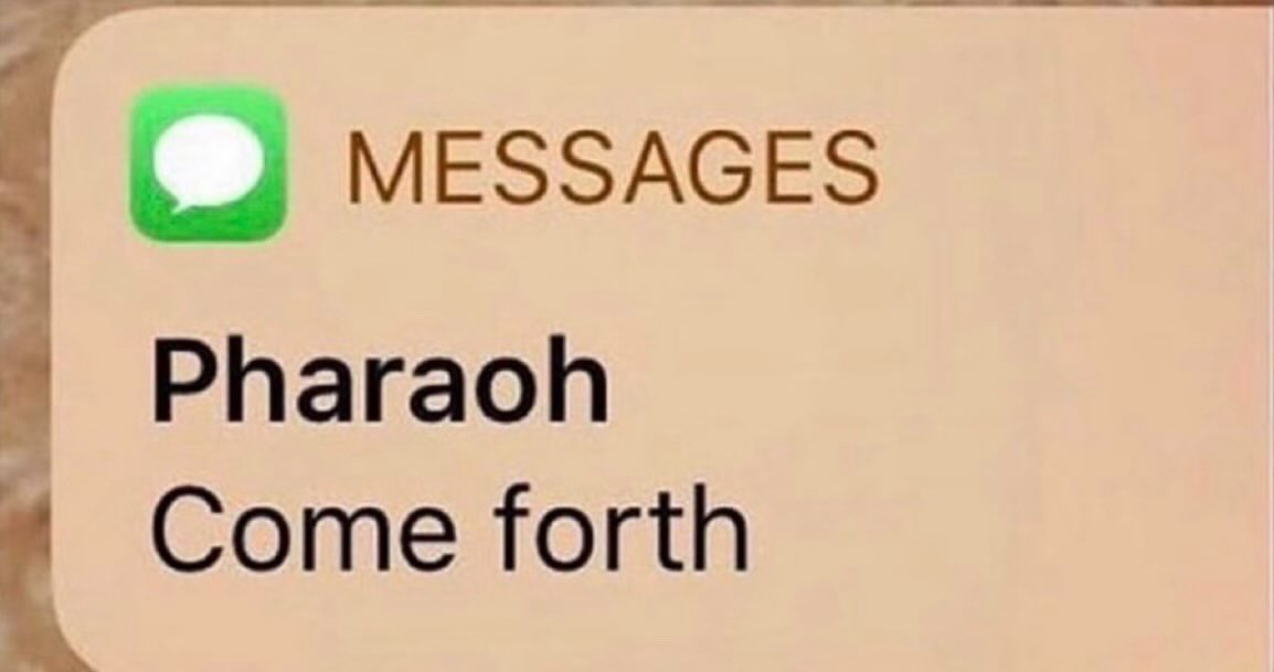 feranisapsycho's tweet image. who does my barber think he is 😭