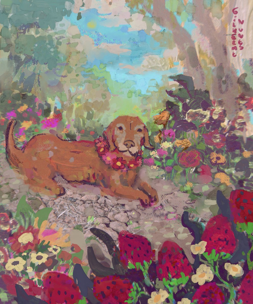 Guilherme Nunes tweet media