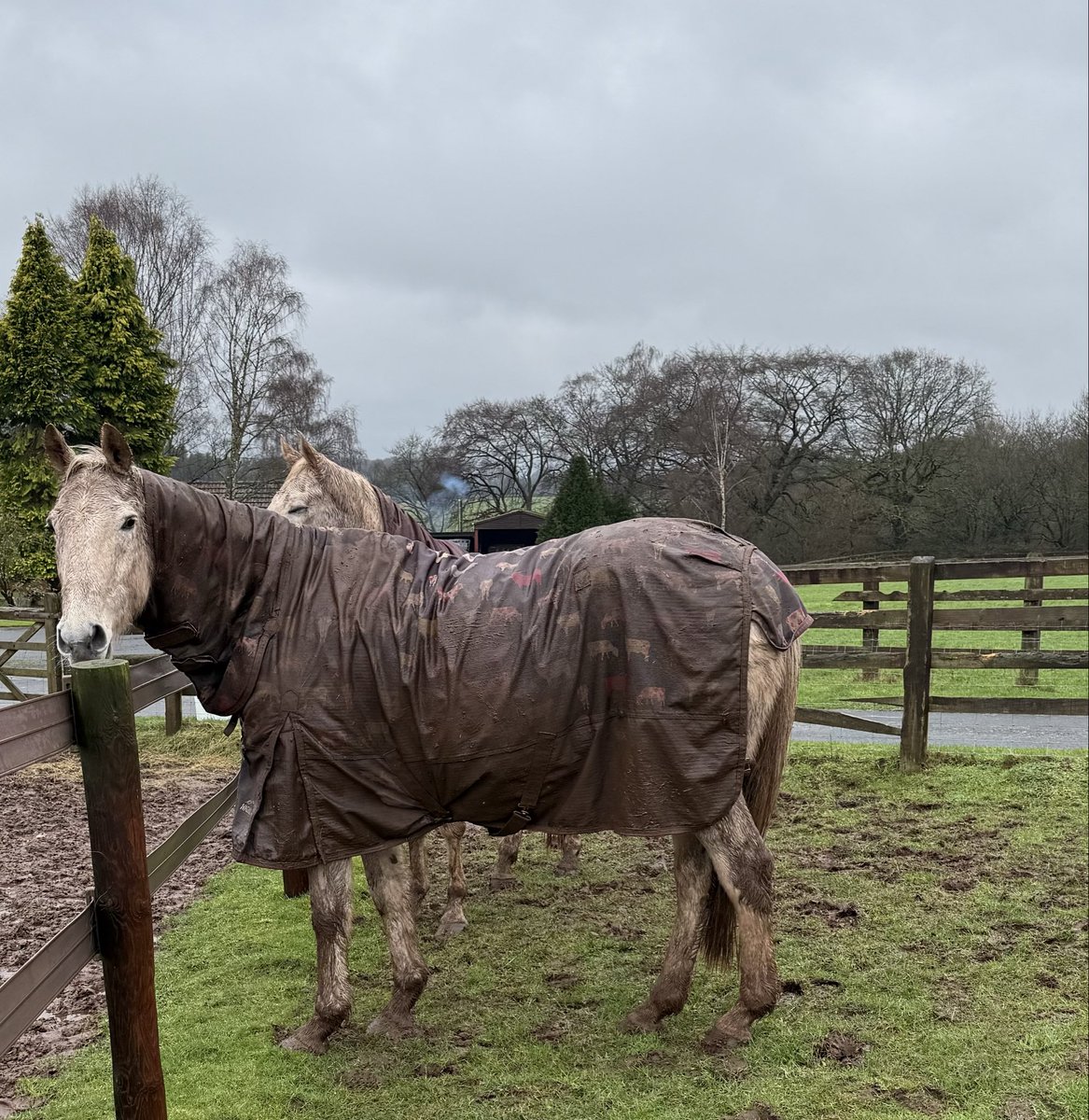 Shawfarmstud tweet media