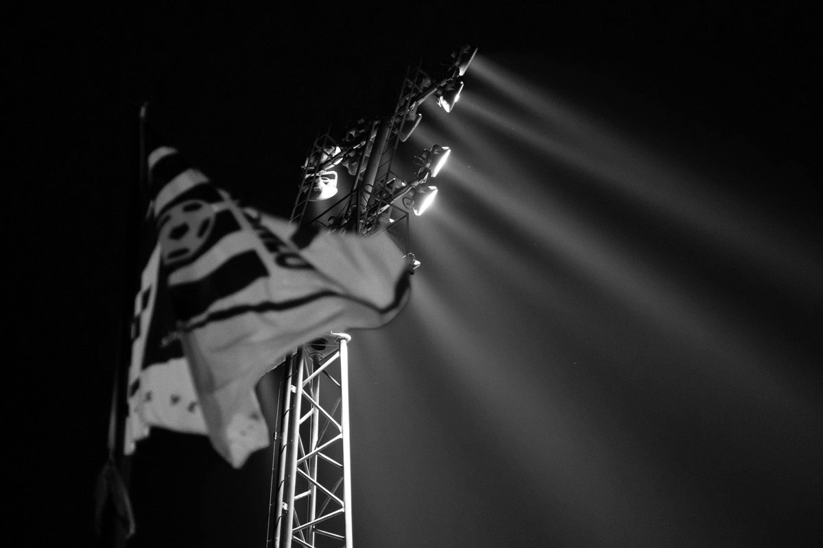 VVV-Venlo tweet media