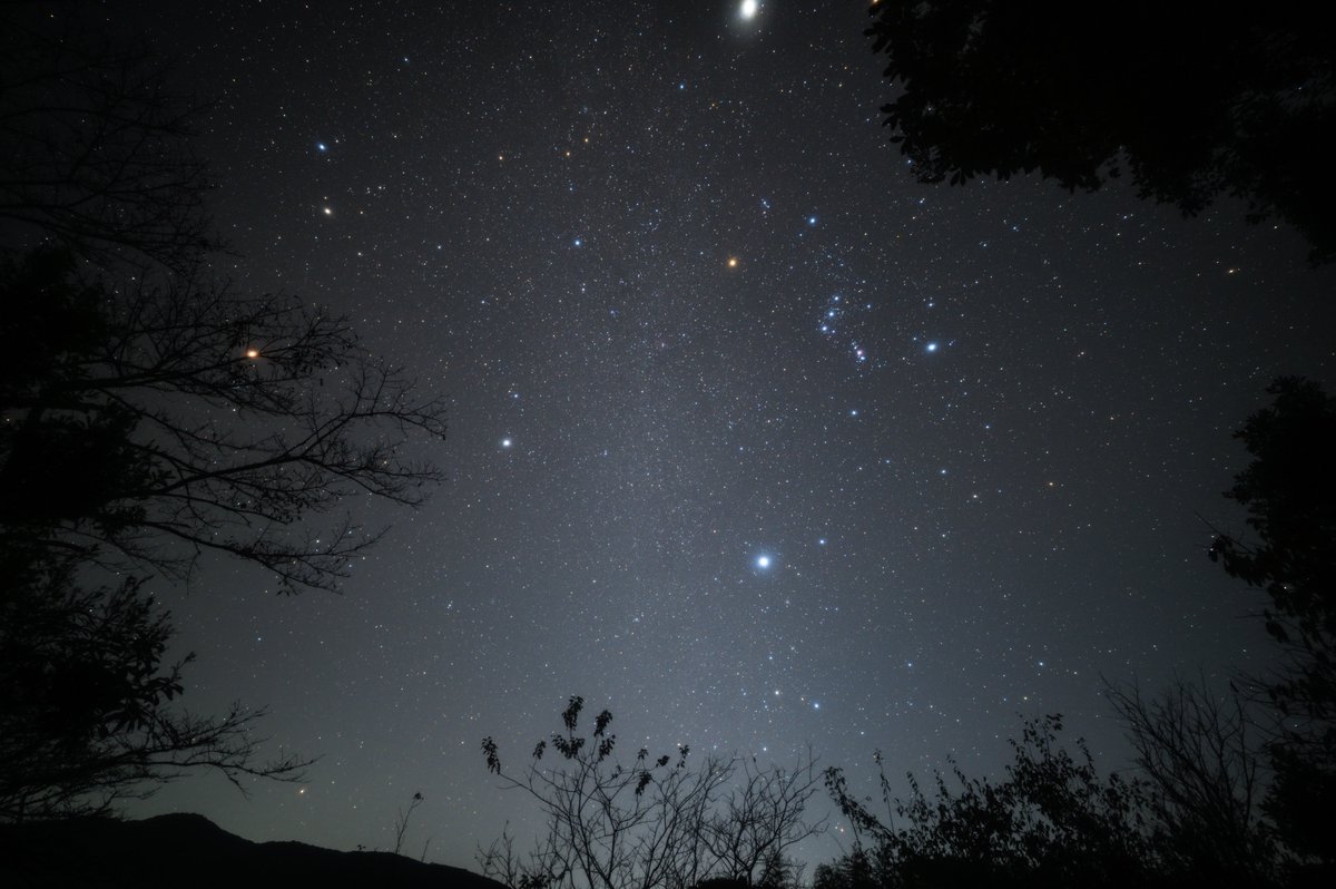 A&B photo Enif tweet media