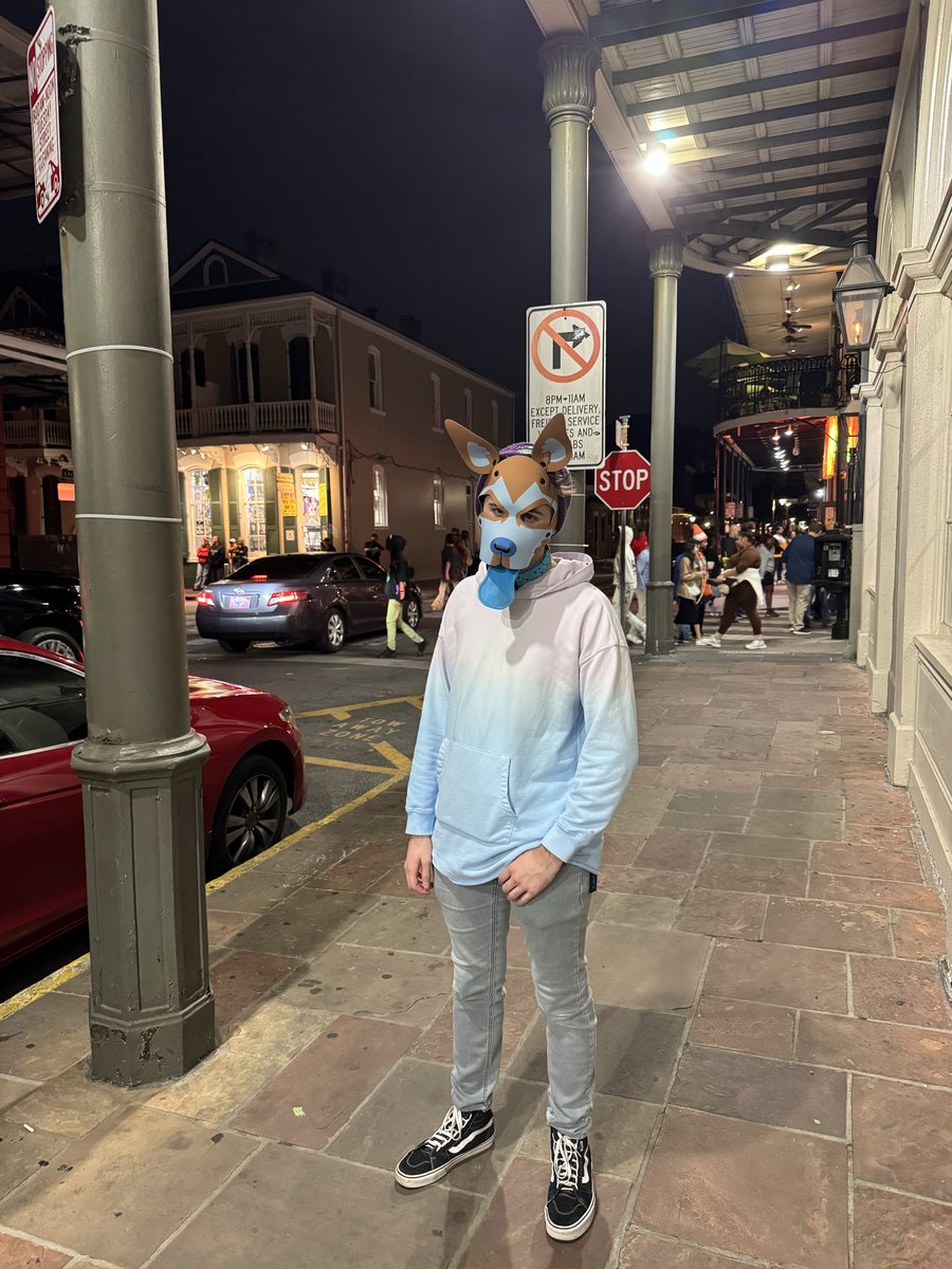 Røss Fox Husky🔜AO tweet media