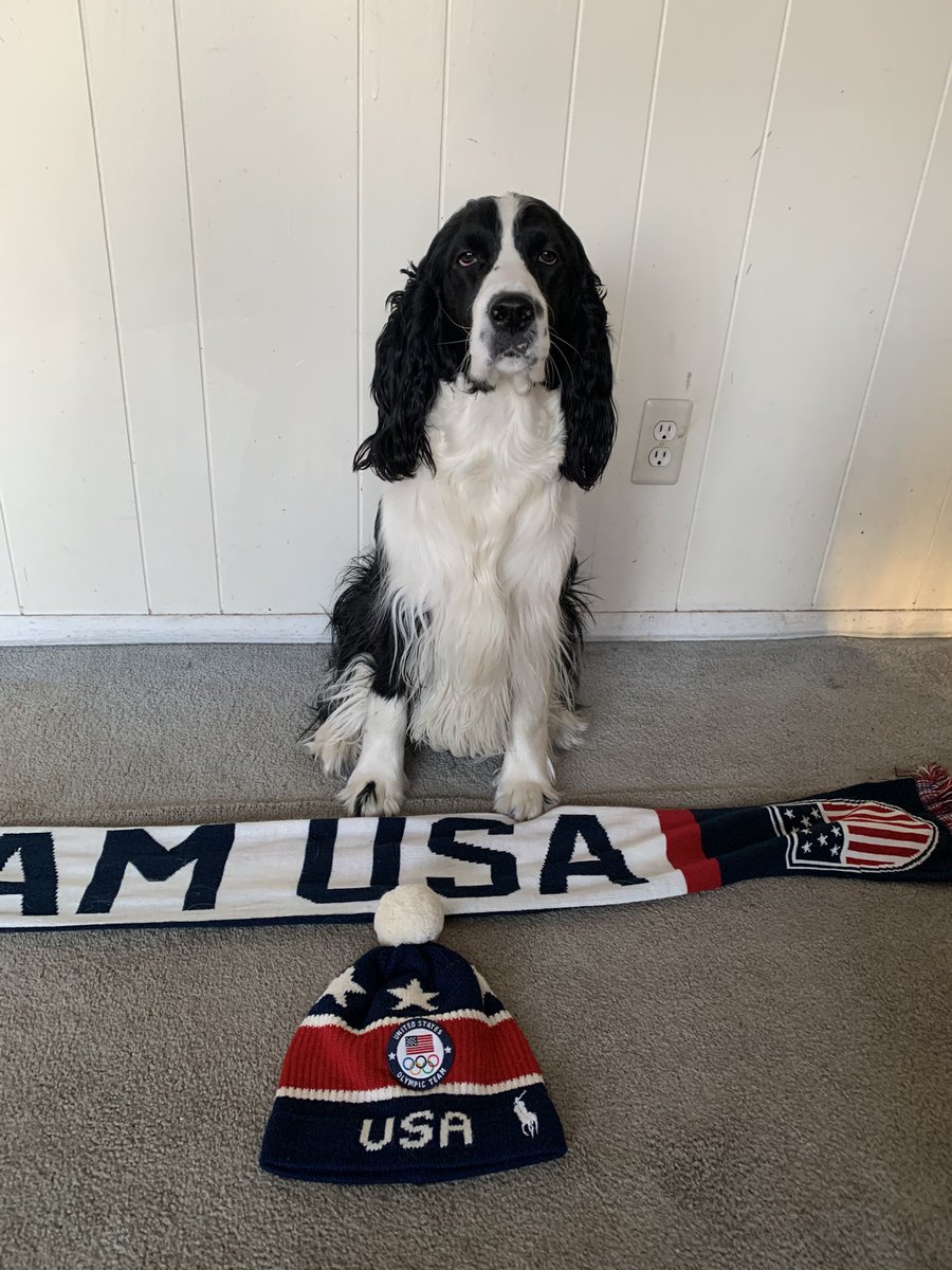 Finlay says “Go Team USA!” Happy Winter Olympics! ❄️ #Olympics #WinterOlympics #MilanoCortina #TeamUSA #FasterHigherStrongerTogether #dogs #EnglishSpringerSpaniel #puppy