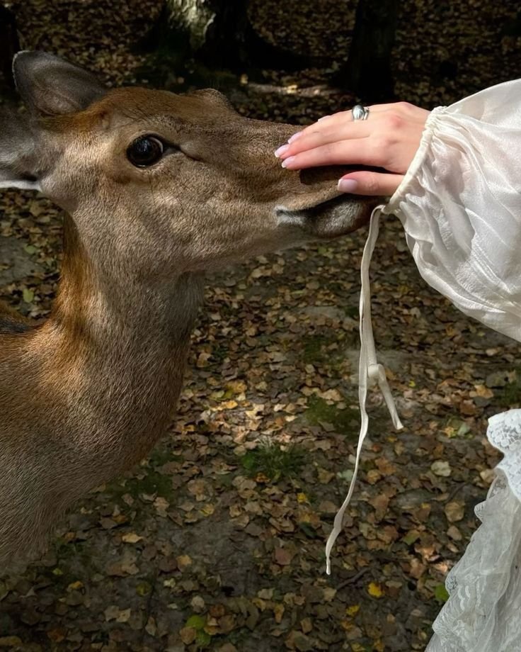 ᥲᥒgᥱᥣ 💭🌸 іrᥣ ᥕіᥣᥣ᥆ᥕ ᑲᥡᥱrs tweet media