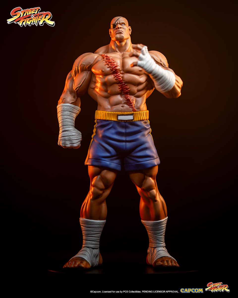 GHeroesEurope's tweet photo. Pre-Order the Premium Collectibles Studio Street Fighter - Street Jam Sagat & Juli 1/10 Statue. Now open in our shop.
● Pre-Order the Sagat & Juli 1/10 Statue here:
https://t.co/4OPBHXlw6x
#PremiumCollectiblesStudio #GHeroes #StreetFighter #Sagat #Juli #StreetJam https://t.co/7FoF5cJStq