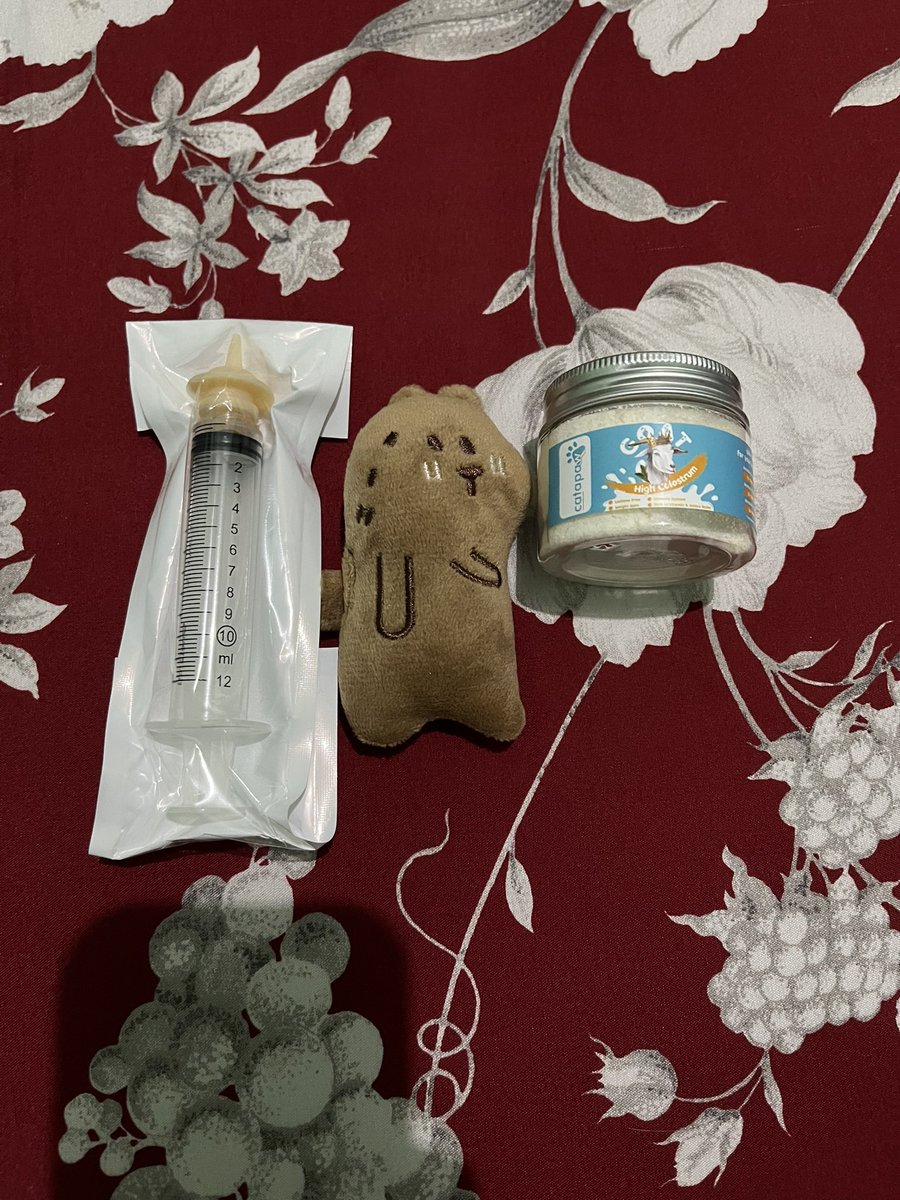 yepitsecha's tweet photo. Pulang kerja hari ini semangat banget karena mainan kamu dah dateng, ga bisa nyusu di dot yang jelek itu dah aku beliin yang pet nipples biar bisa nyusu, susunya pun dah ku ganti yang lactose free biar kamu ga mencret. Tapi pas sampe rumah kamu udah gaada di rumah renji.  😞😞 https://t.co/WOwmkBM1Fi