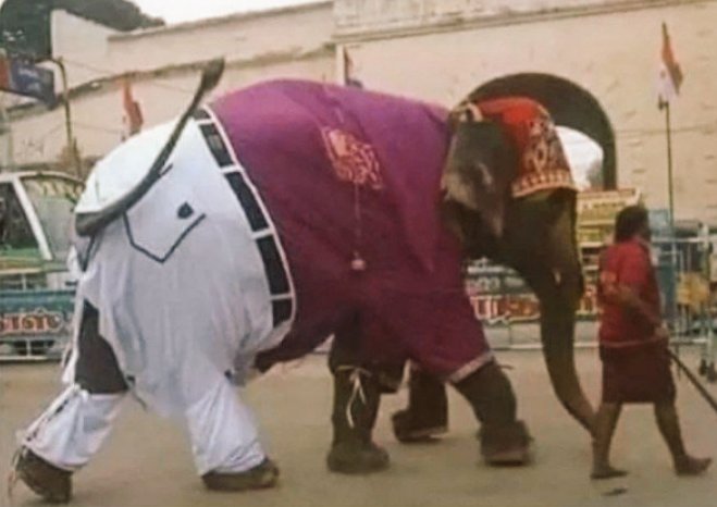 Constant_037's tweet image. Girls: Boys are very careless. He doesn't take good care of his animals.

Meanwhile boys: