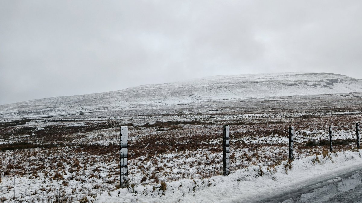 Colleen Webb tweet media