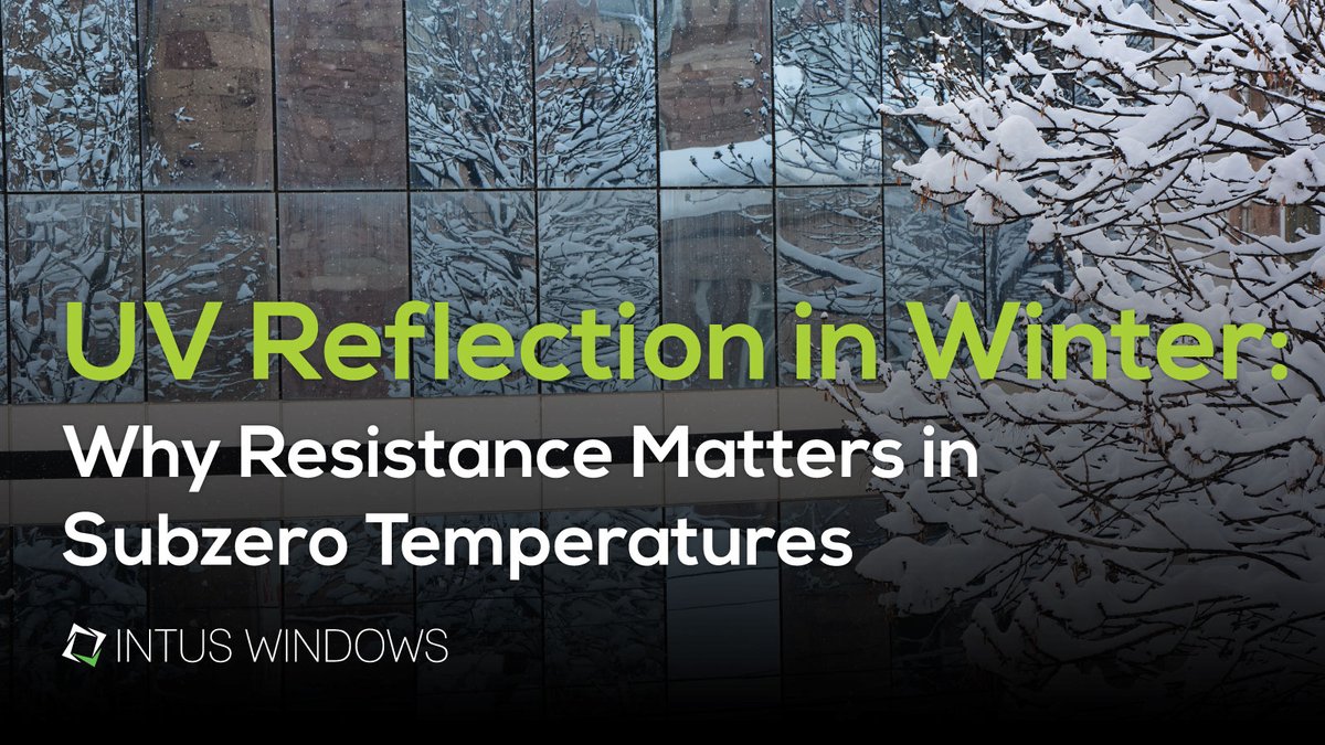 INTUS Windows tweet media