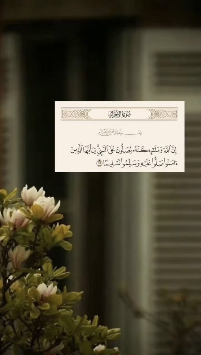 fatom_7f's tweet photo. ادع الله وكأنك ترى نور الإجابة 🪴..
سورة الكهف ..
اللهم صل وسلم ع نبينا محمد ..

 #ساعه_استجابه
#يوم_الجمعة https://t.co/JDD4ZBVL3q