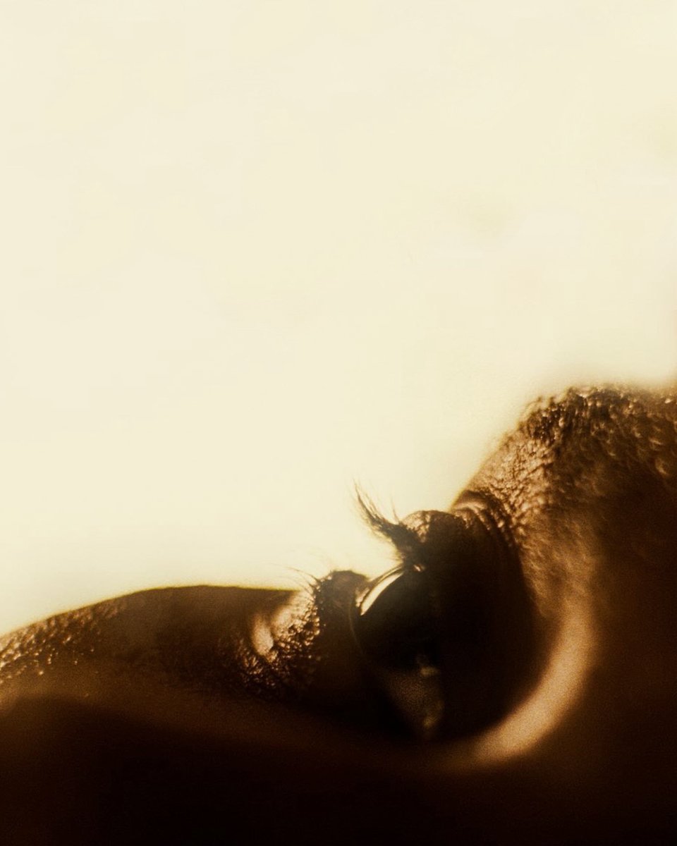 The Weeknd Access tweet media