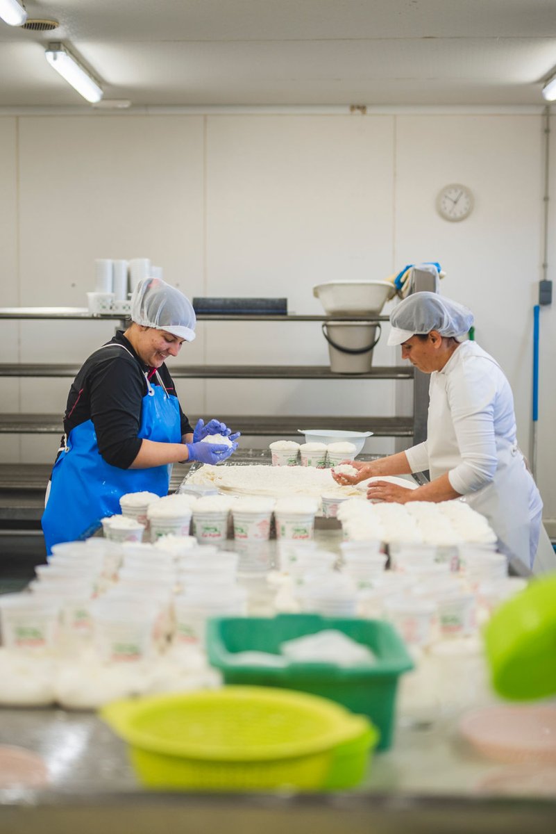 Parc Rural del Montserrat tweet media