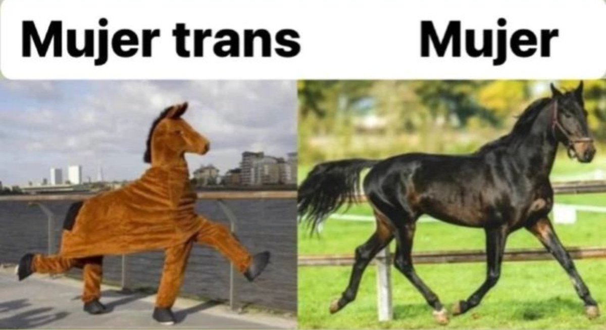 <a href="/IzquierdaPe/">Izquierdistas con Cero IQ</a>