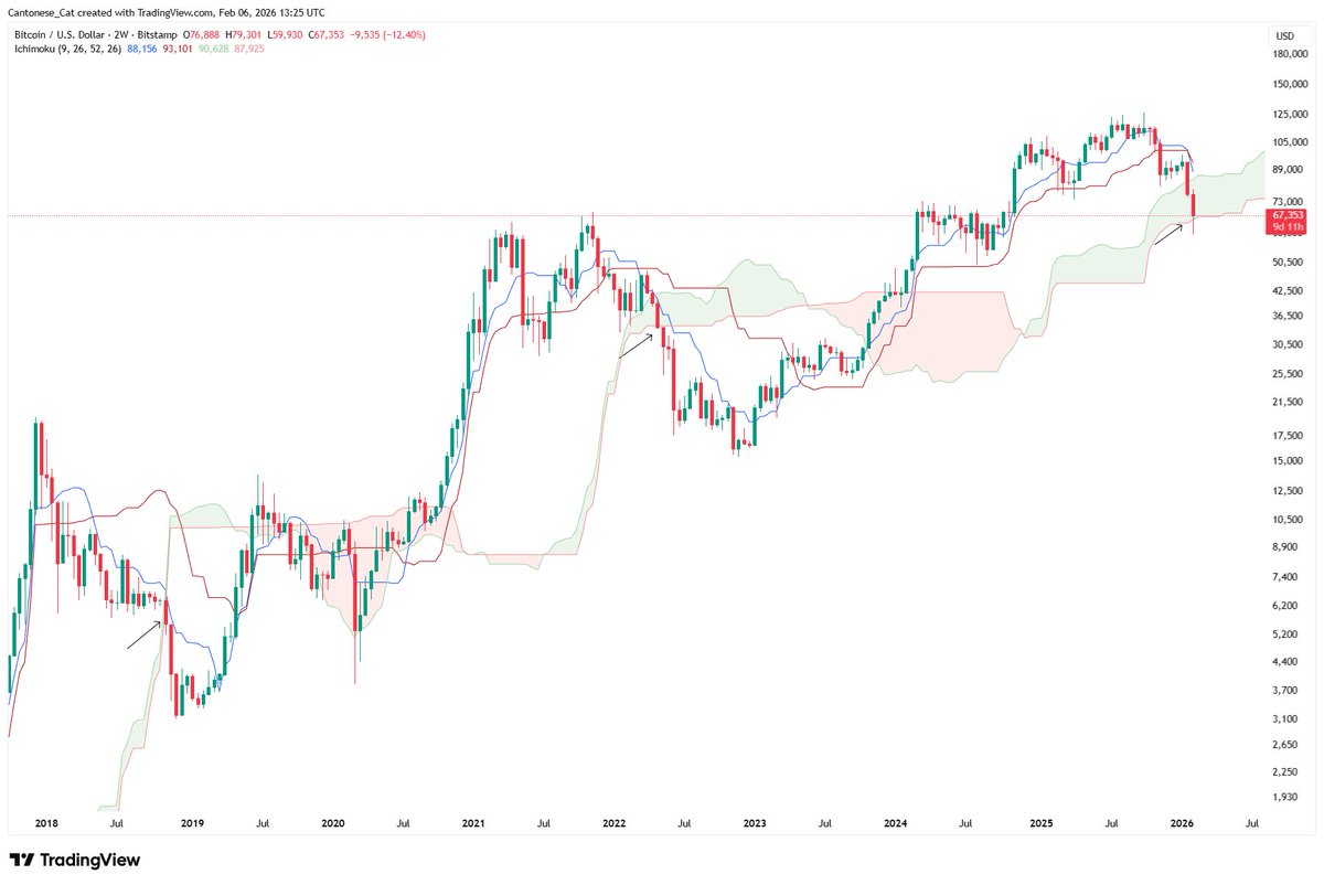 Cantonese Cat 🐱🐈 tweet media