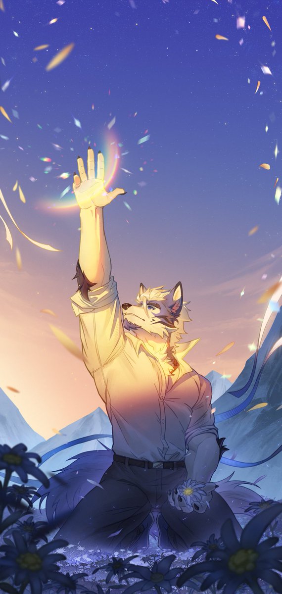 Finn_0017's tweet image. Edelweiss.