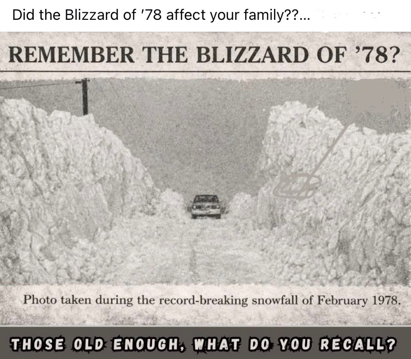 USA Trump Man 🇺🇸🇺🇸🇺🇸🇺🇸🇺🇸🇺🇸🇺🇸🇺🇸 tweet media