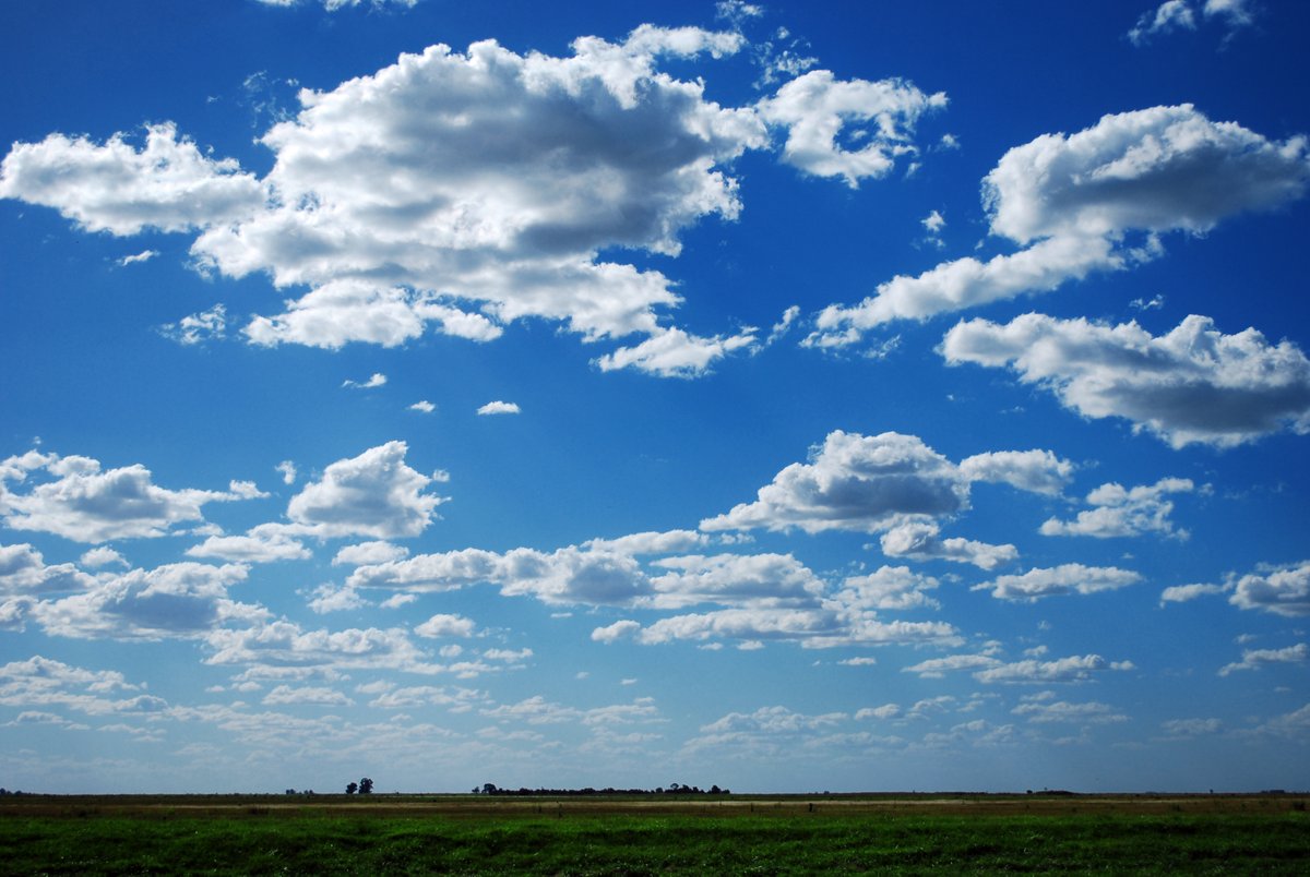 INTA Informa tweet media