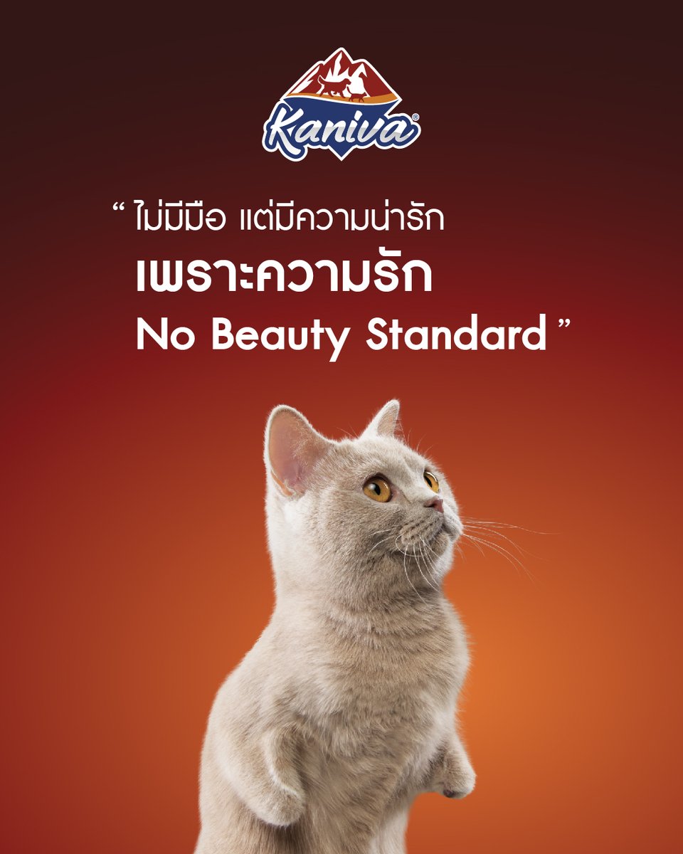 KanivaOfficial's tweet photo. สำหรับคานิว่า
แมวไม่มีมือ…แต่รักหมดใจ
แมวแบบไหนก็รักหมดเลย
เพราะความรักที่มีให้หมาแมว
ไม่มี Beauty Standard
Kaniva No Pet Beauty Standard

เตรียมพบความน่ารักที่จะมาโอบกอดหัวใจของเรา พร้อมกัน… เร็วๆนี้

Actor : น้องไอวี่
#KanivaNoPetBeautyStandard https://t.co/d4cBPOCtJi