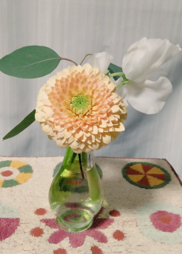 本日の切り花は、黄色いガーベラと白いスイートピーです