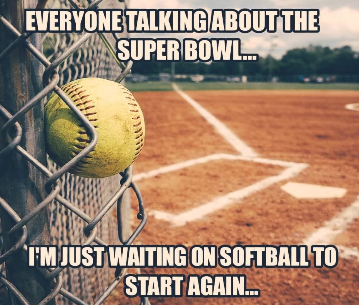 D1 Fastpitch tweet media