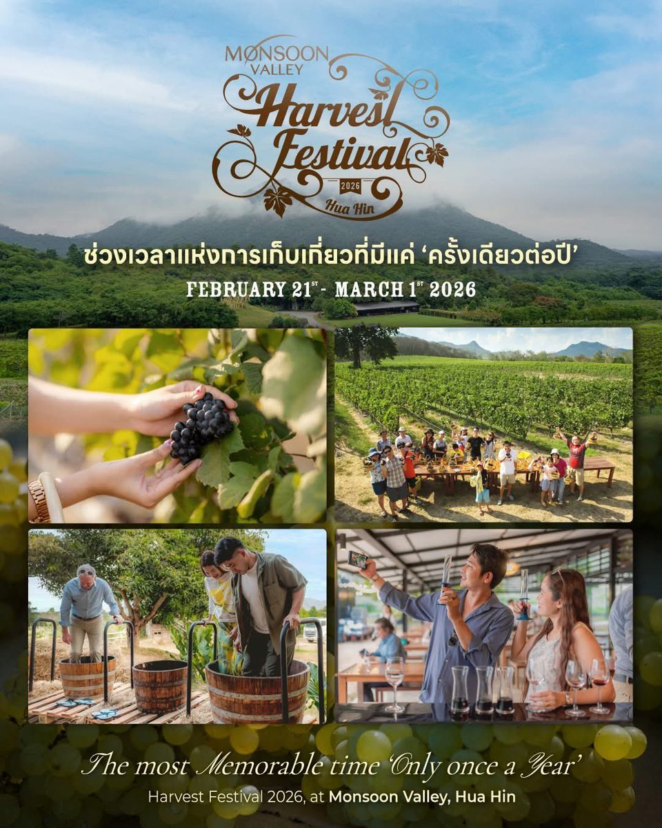 review_prachuap's tweet photo. 📷 เพราะมีแค่ ‘ครั้งเดียวต่อปี’
 🍇 เทศกาลเก็บเกี่ยว HARVEST FESTIVAL 2026 🍇 ไร่องุ่น Moonsoon Valley #หัวหิน #ประจวบคีรีขันธ์ 

เพียง 490 บาท / ท่าน (วันละ 6 รอบ/จำนวนจำกัด) ตั้งแต่วันที่ 21 กุมภาพันธ์ - 1 มีนาคม 2569

รายละเอียดเพิ่มเติม 👉🏻https://t.co/uB9G0i0rPP https://t.co/xBrVU9Hqlq