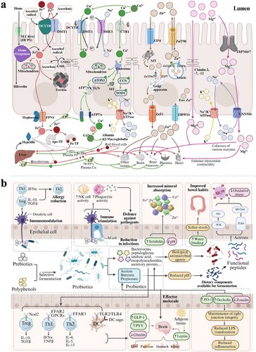 John Damianos, M.D. tweet media