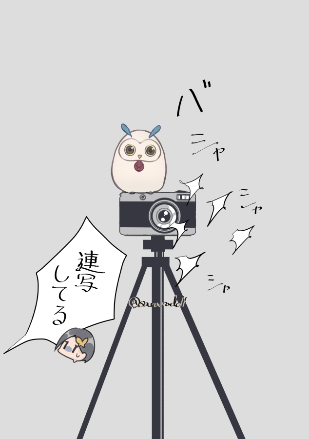 sarasadoll's tweet photo. フルルはシャッターを押す係なのでキービジュに居ない説 https://t.co/wPTpac3C9Y