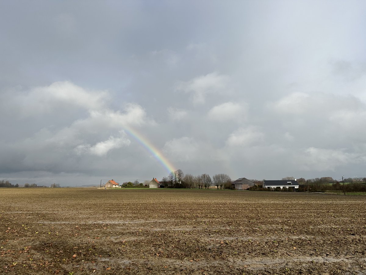 alexandermanhae's tweet photo. #vrtweer Wortegem : vrijdag 6 februari 2026 om 14:22.  Net een bui gehad gevolgd door een mooie regenboog maar tegen dat ik buiten was nog maar een klein stukje van de regenboog over maar wel nog de moeite.  Het is zacht 10,8 °c.   Alexander Manhaeghe https://t.co/OaE3F0Y7Jw