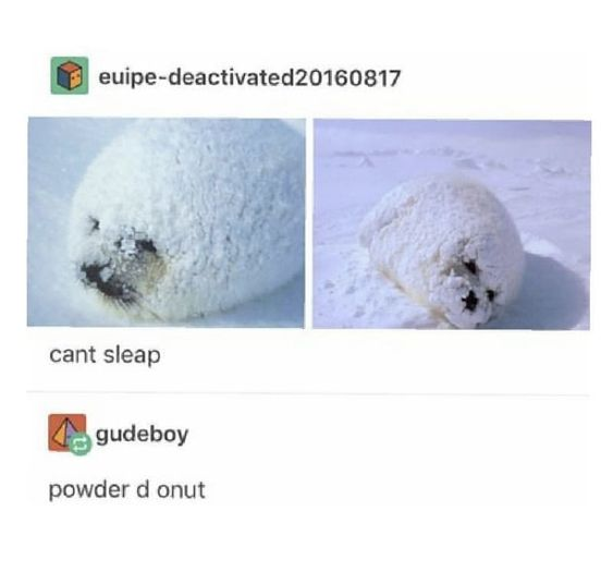 WholesomeMemes (@wholesomememe) on Twitter photo 