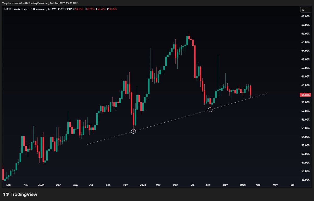Yury🐓 tweet media