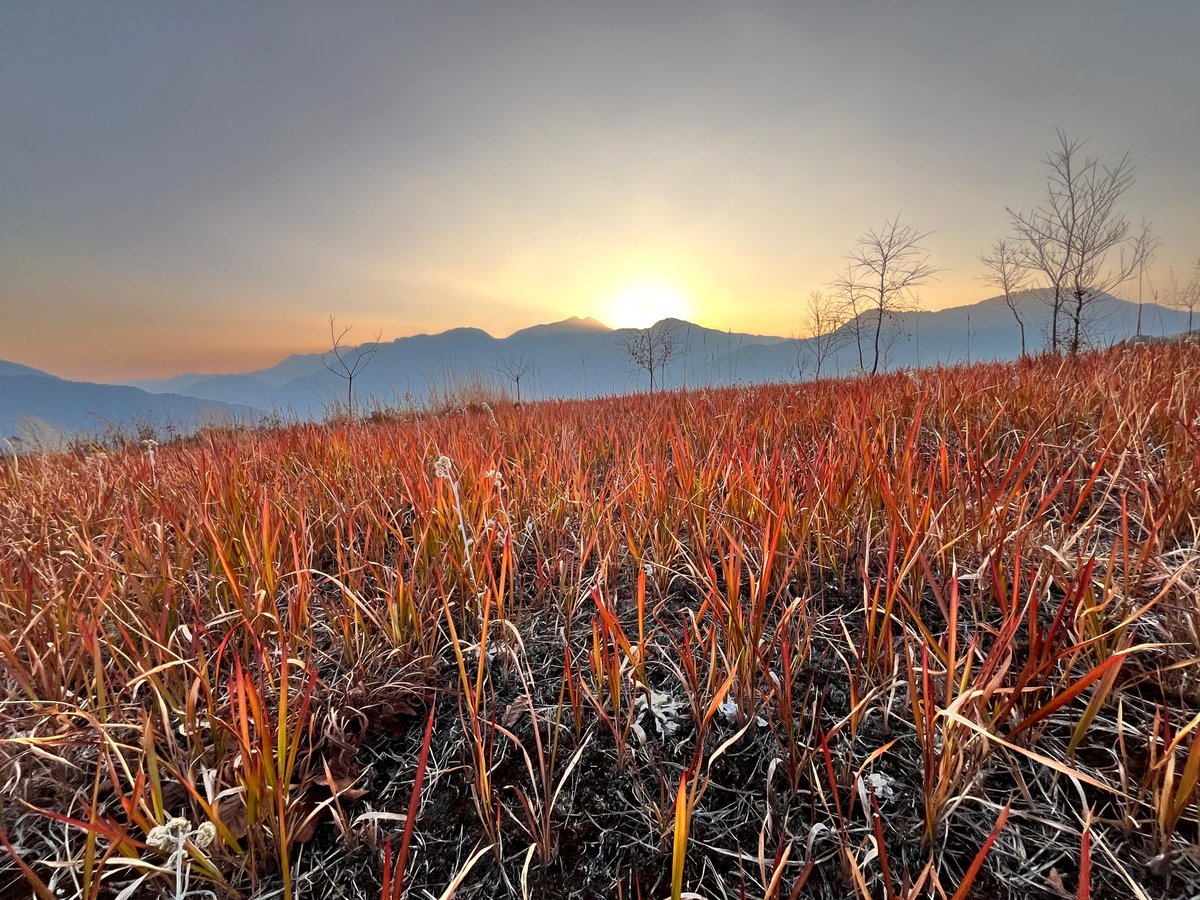 “As the sun bows in Kashmir, even silence turns golden.”
#KashmirSunset 
#HeavenOnEarth
.
.
.
.
.
.
.
.
.
.
#Cricket26 
#NoraFatehi