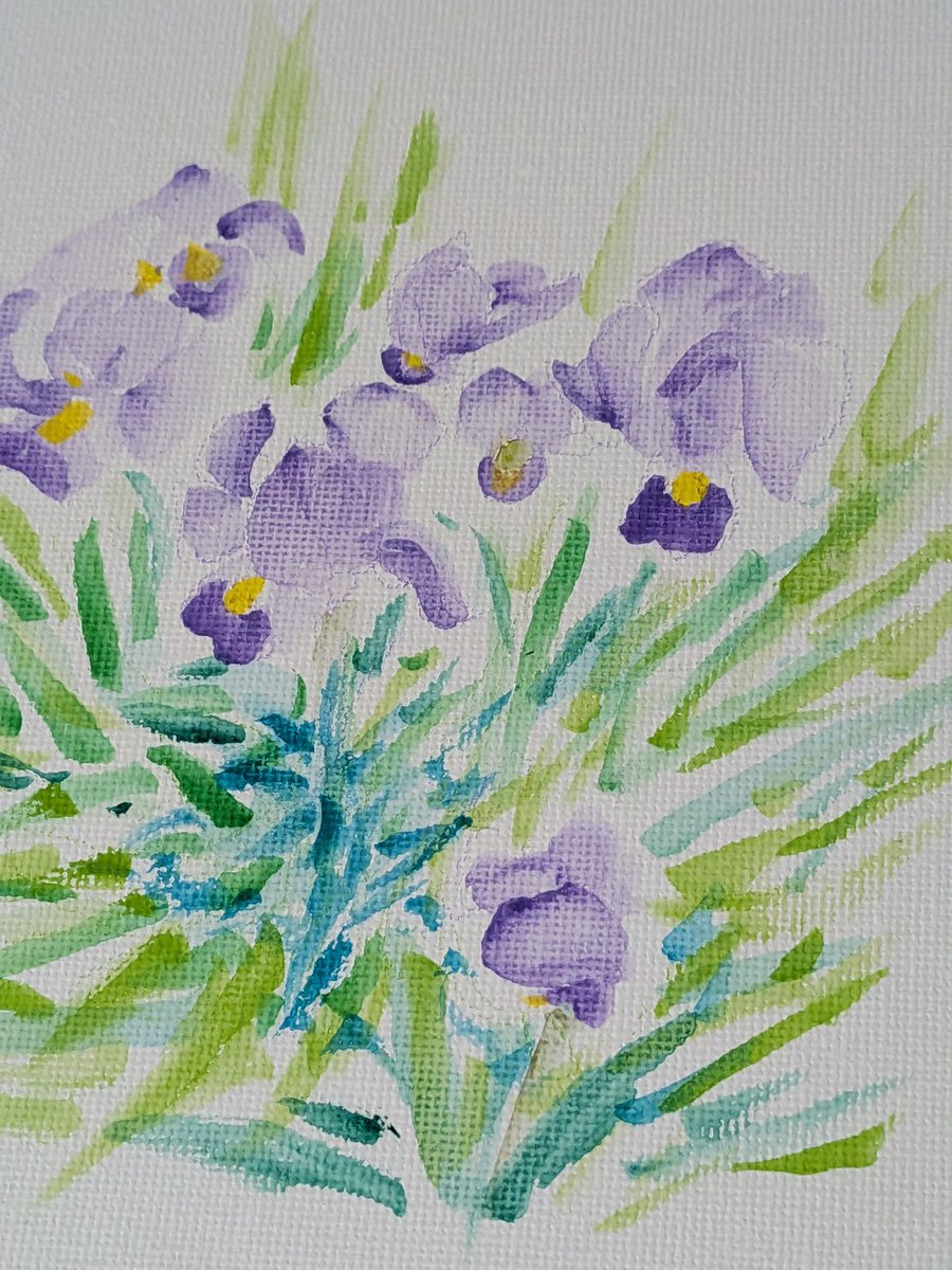 侘び・さびを何処かへ置き忘れたようだ。 #水彩画 #ミニカンバス #菖蒲