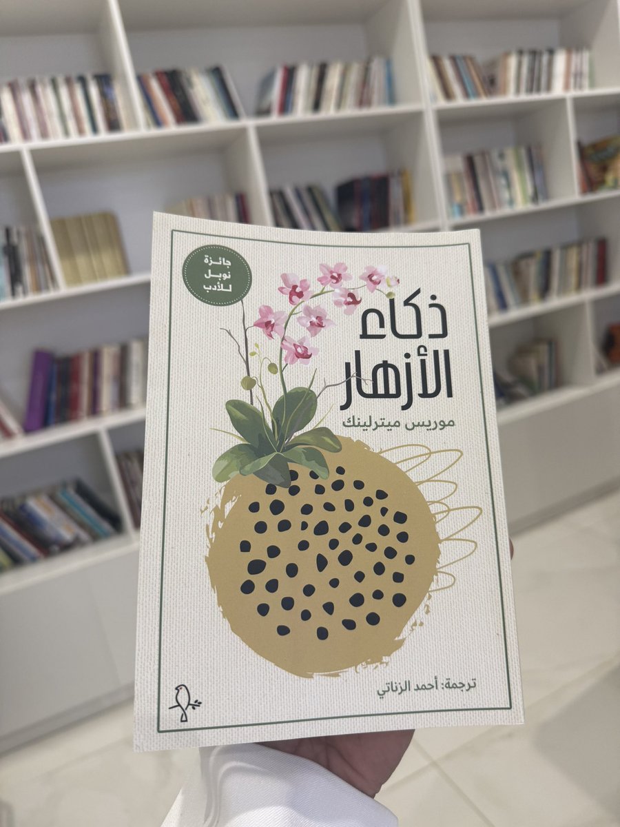 علوان السهيمي tweet media