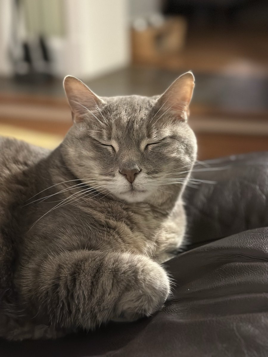 Jonah Goldberg tweet media