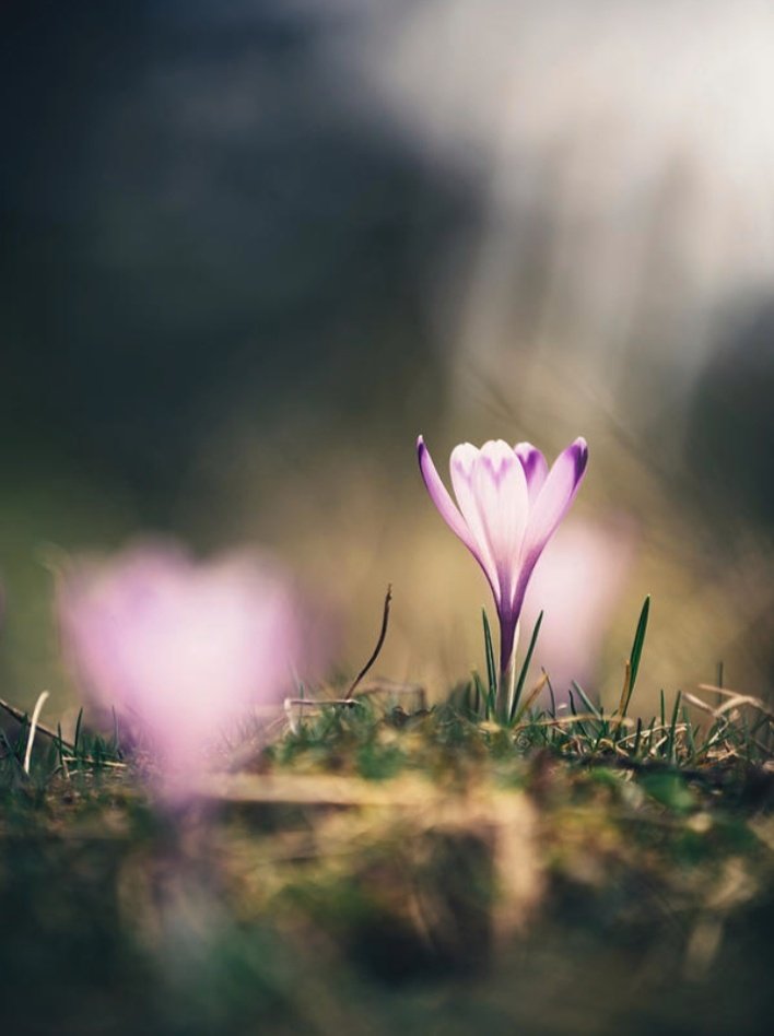 Die wahre Lebenskunst besteht darin, im Alltäglichen das Wunderbare zu sehen.

- Pearl S. Buck