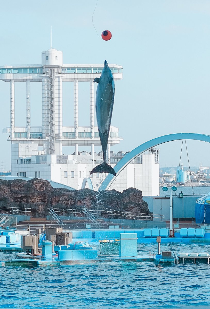 今日はしののめちゃん(<a href="/4no_n4/">sino☁</a> )
と日帰り名古屋行ってきたー😆✨

名古屋港水族館すごく楽しかった🐬𓈒 𓏸
はじめてひのとりにも乗った！！

限界を越える…しようね((震え声))
🤞🏻
💥

…🤣ｗｗｗ