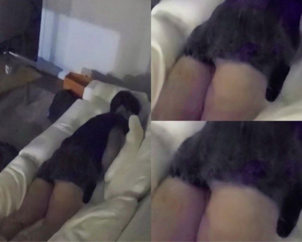 shorts too short ass came out