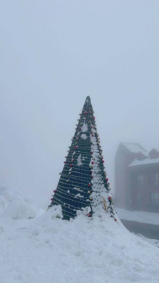 ZerMohd's tweet photo. 📸❄️☃️ https://t.co/fsbdJCCM2B