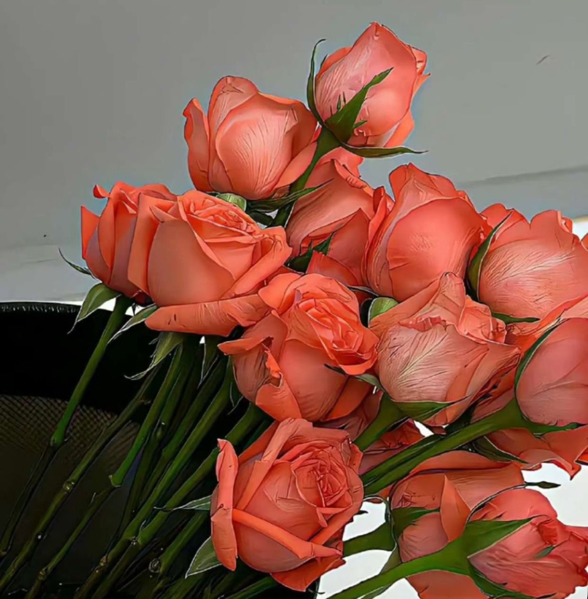 Afaf_9990's tweet photo. وأنتَ تعلمُ ولا  أعلم،
عبدُكَ الذي أسلَم وسلَّم،
وأنتَ اللهُ الأكرم.

لا أخشى شيئًا وأنتَ معي،
ولا أخافُ ضياعَ ما كتبتَه لي.

مُطمئنٌّ في معيتك،
فلا تحرمني بتقصيري من رحمتك.
#ساعه_استجابة 
مساء ُ الخير🌺 https://t.co/ksLJRs6e53