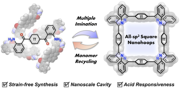 segawagroup's tweet photo. Our most resent work on "Construction of Shape-Persistent All-sp2 Square Nanohoops via the Formation of Multiple Imine Bonds" is now in 
@ChemRxiv !
https://t.co/UW2Atj8wtS https://t.co/yuf5KVkWm3