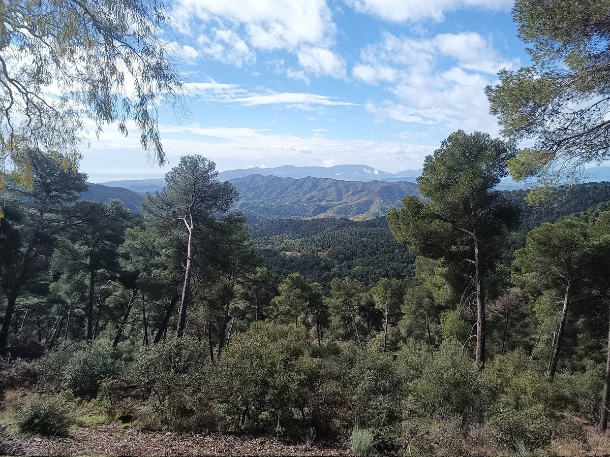 ISRAEL DE  RUS tweet media