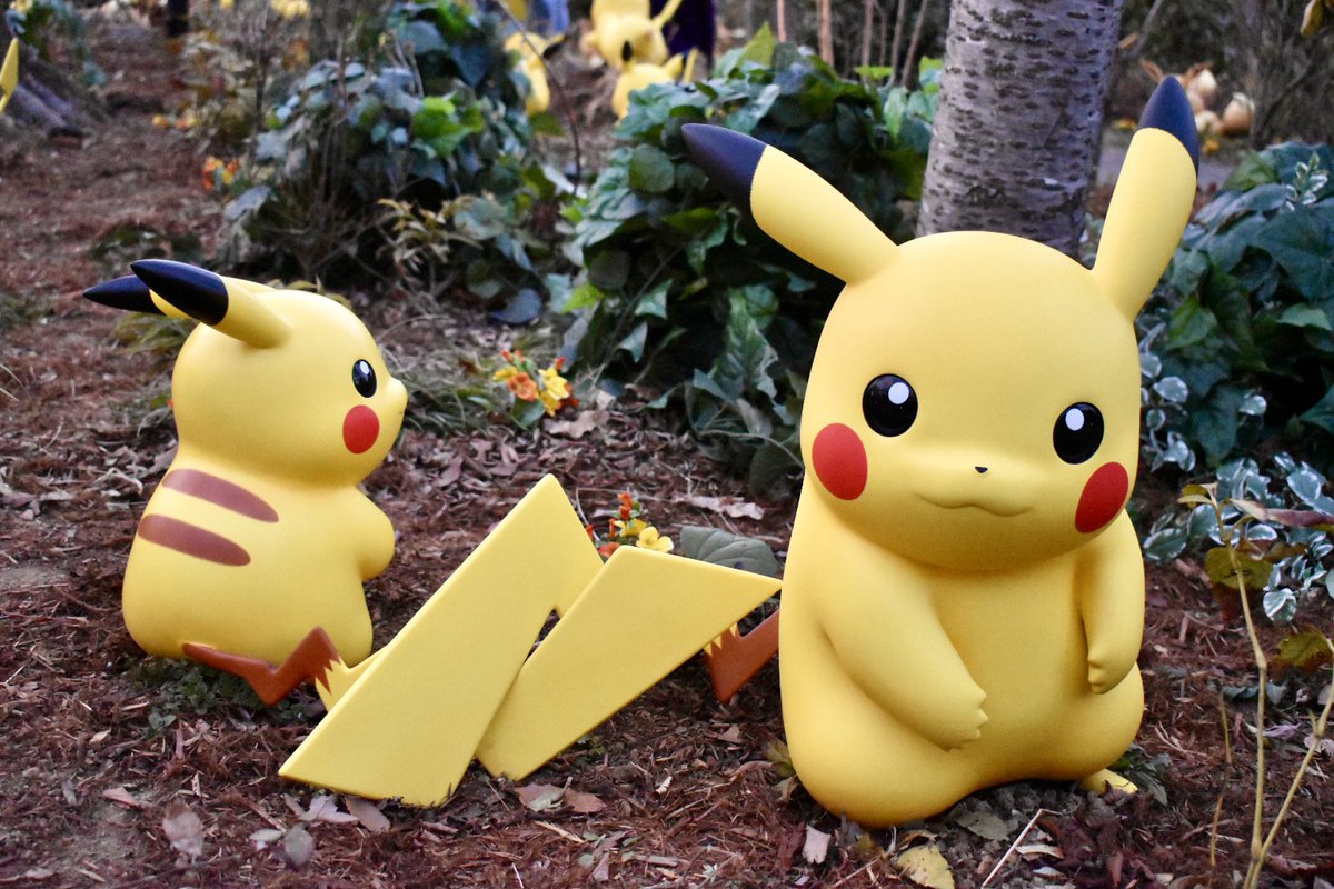 ピカピカピカピカピカピカピカピカピカピカピカピカピカピカピカピカピカピカピカピカピカピカピカピカピカピカピカピカピカピカピカピカピカピカピカピカピカピカピカピカピカ🌳⚡️ #ポケパークカントー