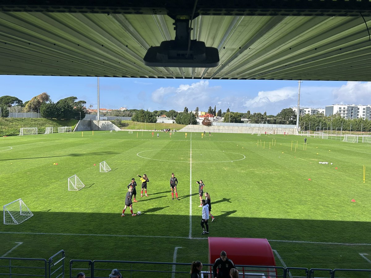 Eric McAleer tweet media