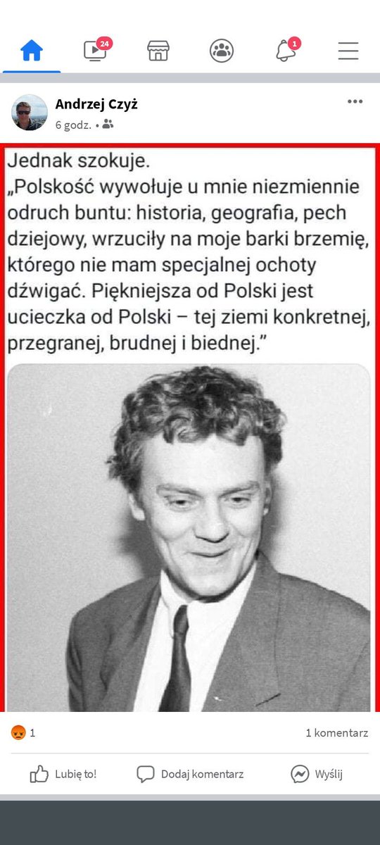 To słowa waszego wielkiego wodza,brakuje początku gdzie mówi  cyt. "Polskość to nienormalność"