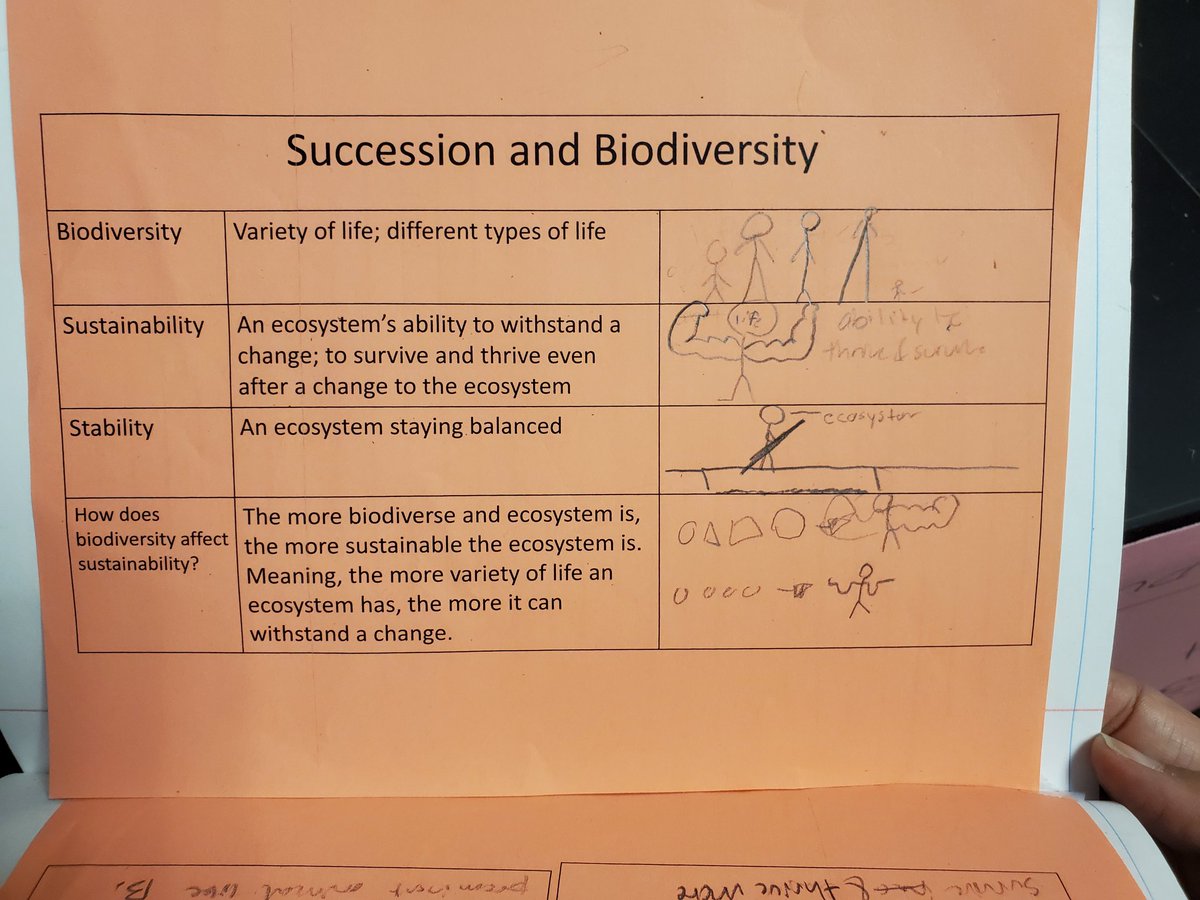 Lauren Mitchell tweet media