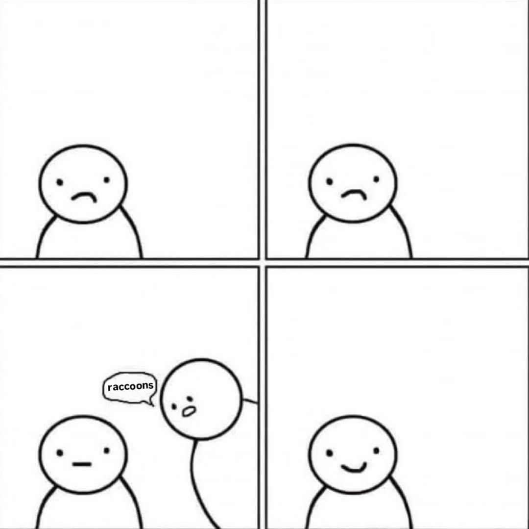 raccoon with confusing auras tweet media